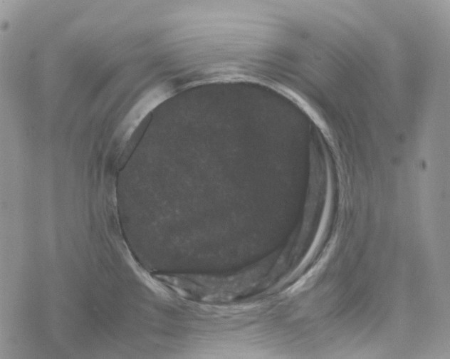 X0000070391289200606301937