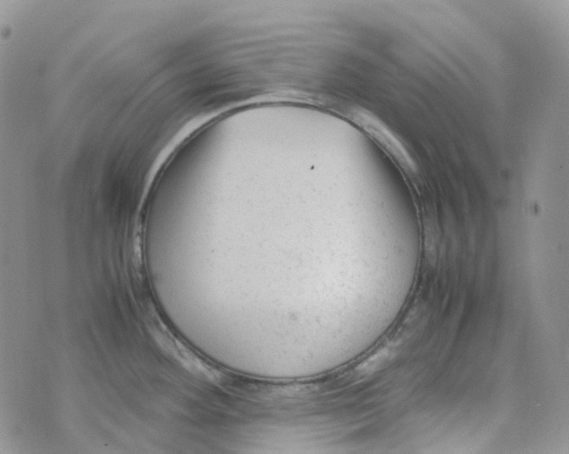 X0000070391292200606301937