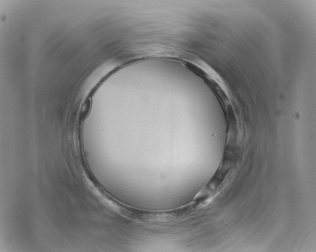 X0000070391293200606301937