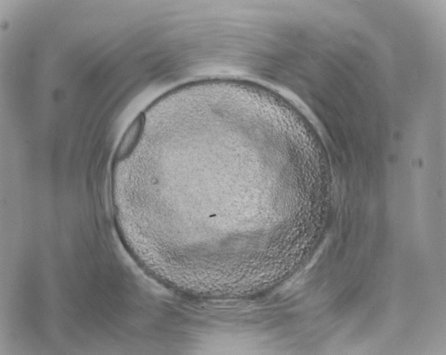 X0000070391295200606301937