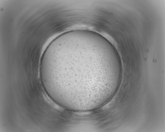 X0000070391296200606301937