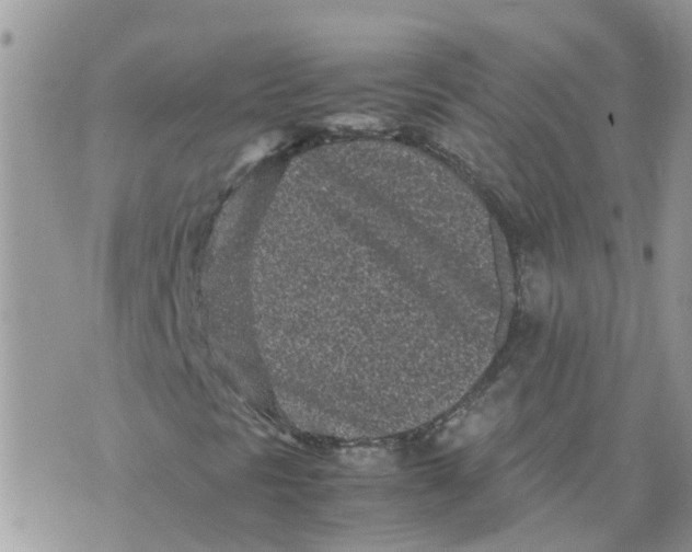 X0000070391297200606301936