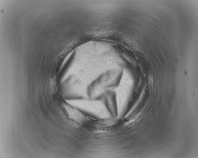 X0000070391300200606301936