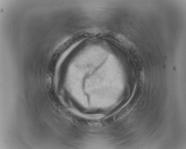 X0000070391302200606301936