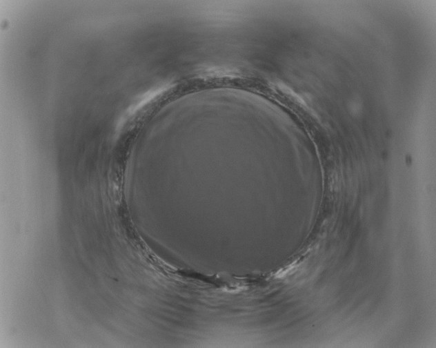 X0000070391303200606301936