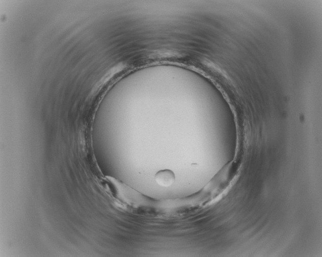 X0000070391305200606301936