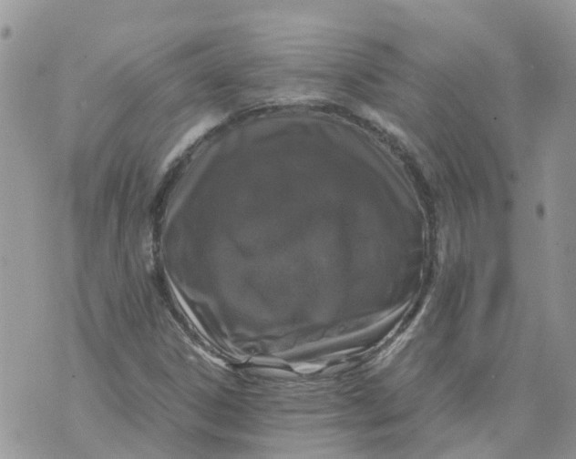 X0000070391306200606301936