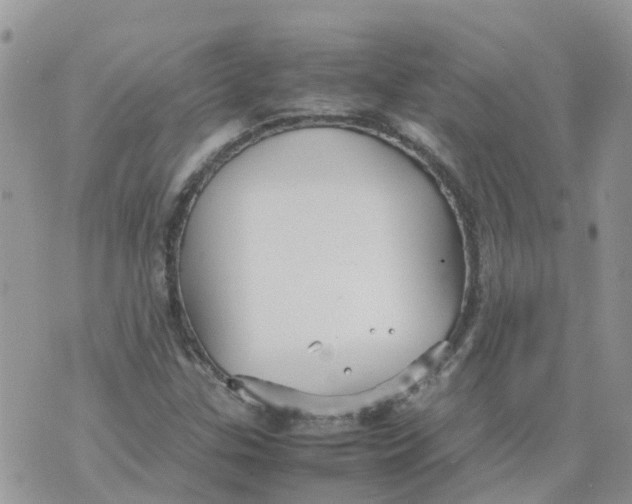 X0000070391307200606301936