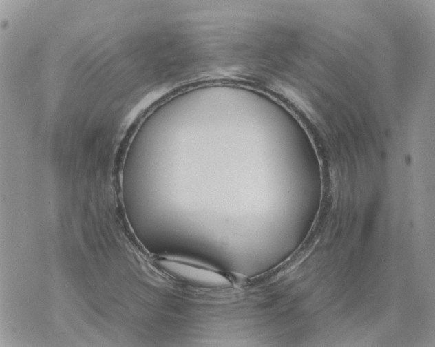 X0000070391308200606301936