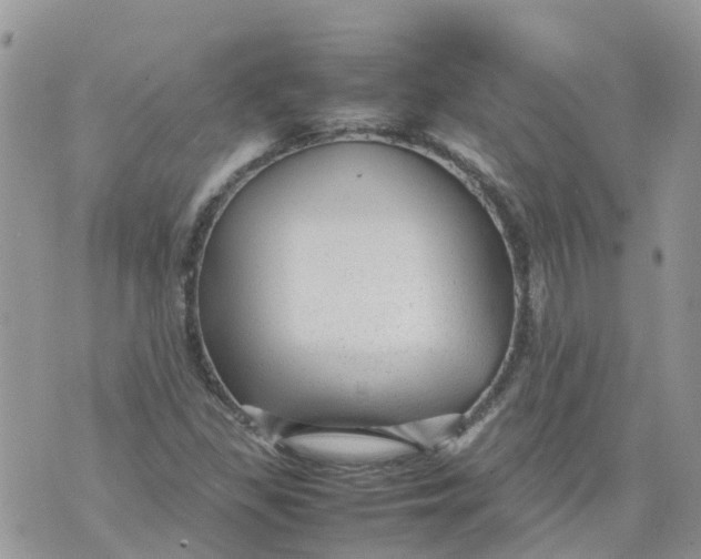 X0000070391309200606301936