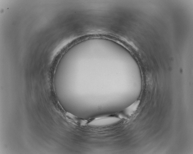 X0000070391311200606301936