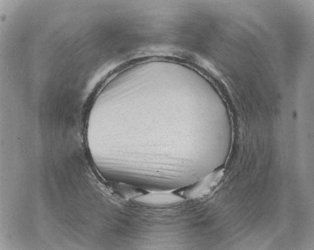 X0000070391312200606301936