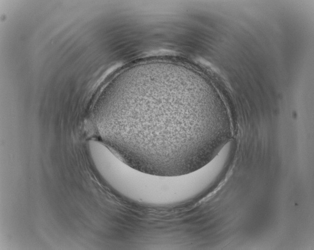 X0000070391313200606301936