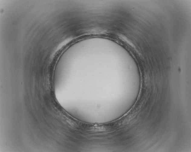 X0000070391315200606301936