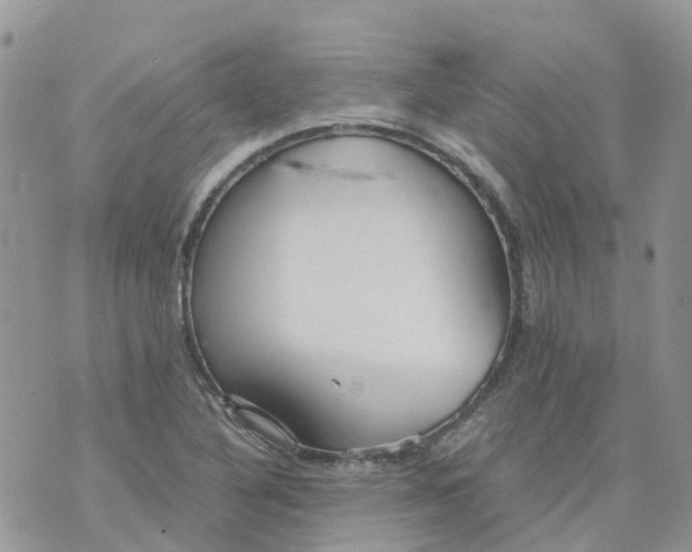 X0000070391316200606301936