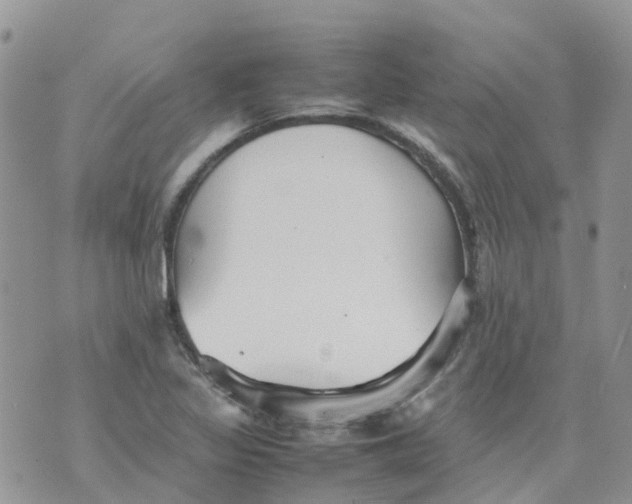 X0000070391317200606301936