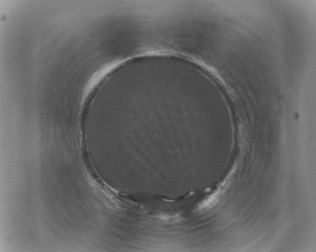 X0000070391319200606301936