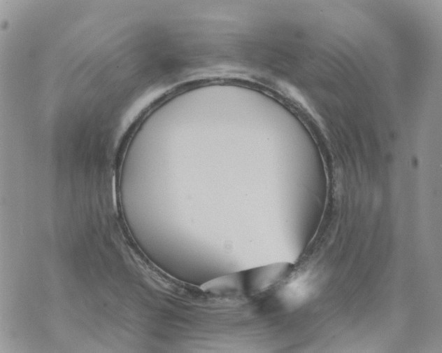 X0000070391320200606301936