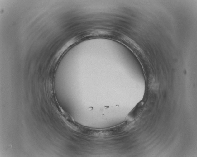 X0000070391321200606301936