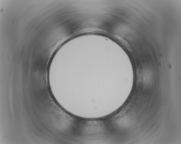 X0000070391322200606301936