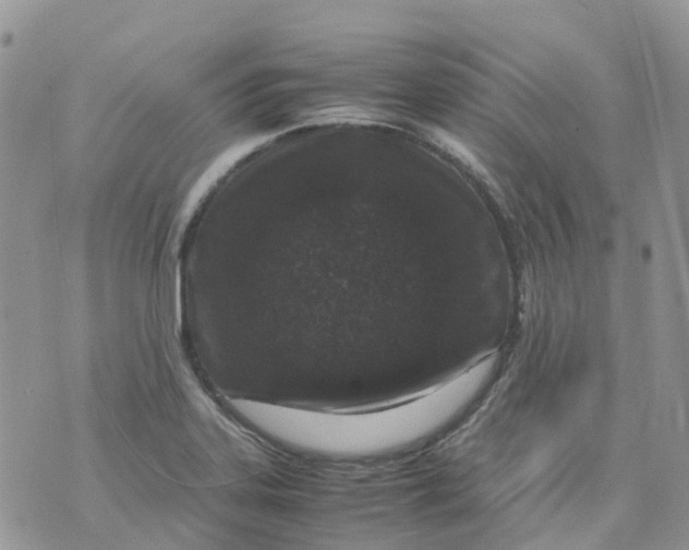 X0000070391323200606301936