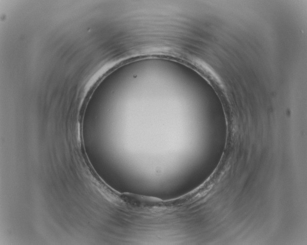 X0000070391324200606301936