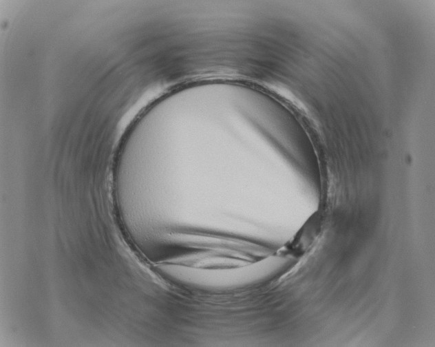 X0000070391325200606301936