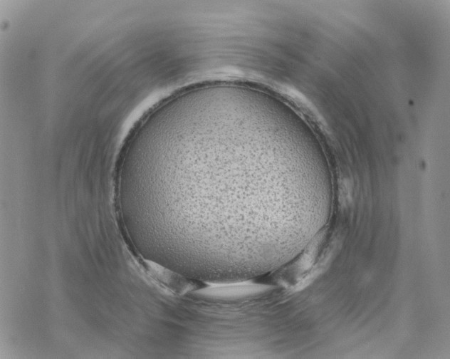 X0000070391326200606301936