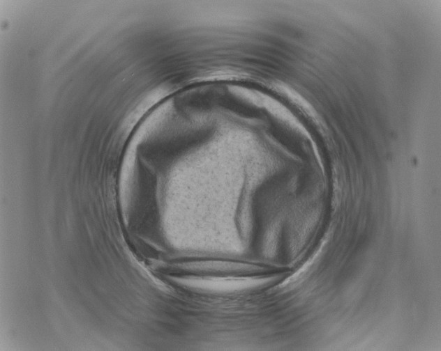 X0000070391329200606301937