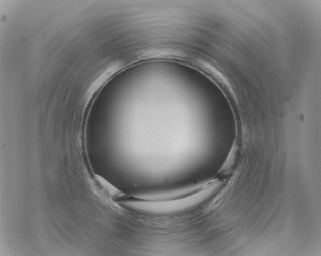 X0000070391330200606301937