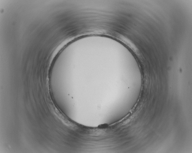 X0000070391332200606301937