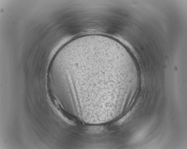 X0000070391333200606301937