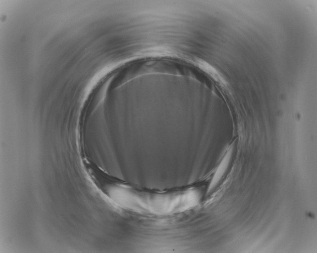 X0000070391334200606301937