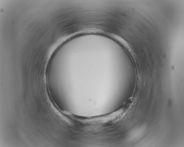 X0000070391335200606301937