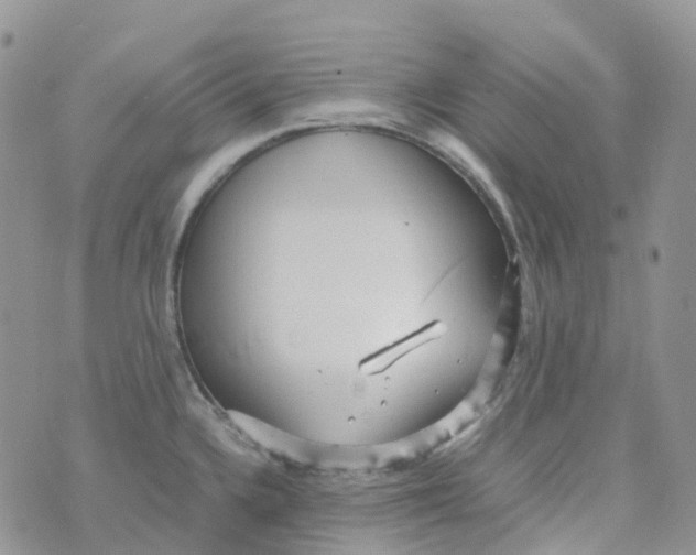 X0000070391336200606301937