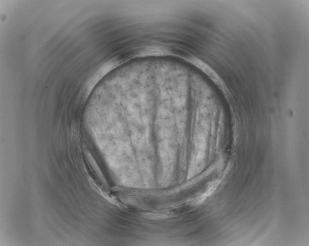 X0000070391337200606301937