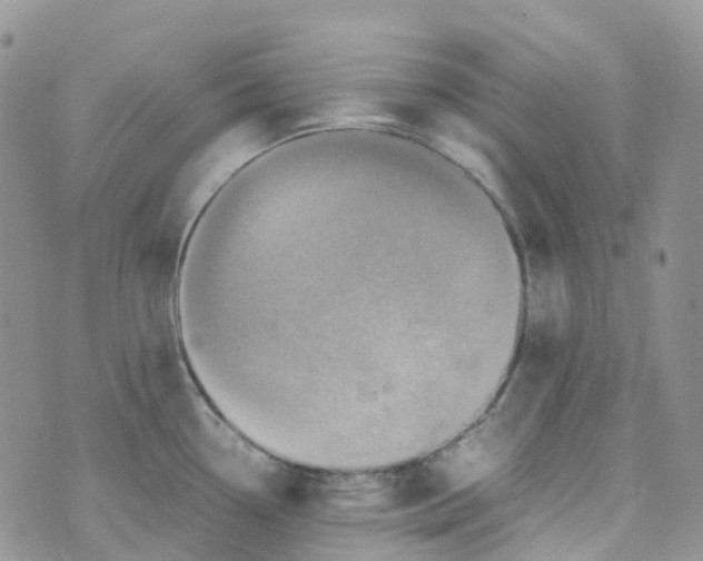 X0000070391338200606301937