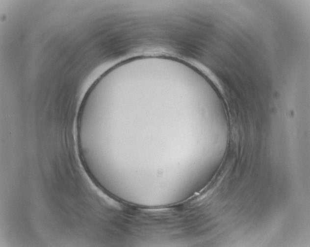 X0000070391343200606301937