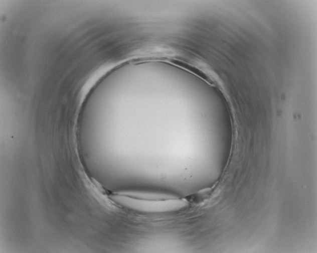 X0000070391344200606301937