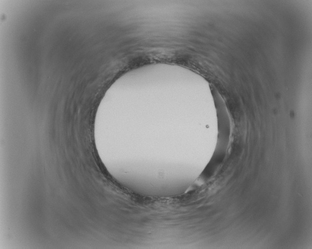 X0000070391345200606301936