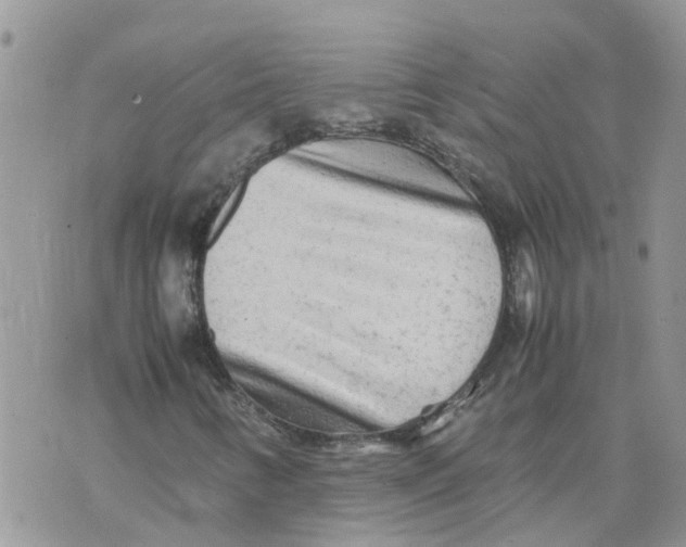 X0000070391346200606301936