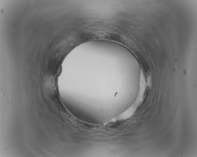 X0000070391347200606301936