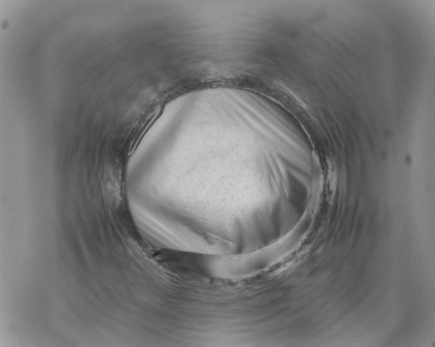 X0000070391348200606301936