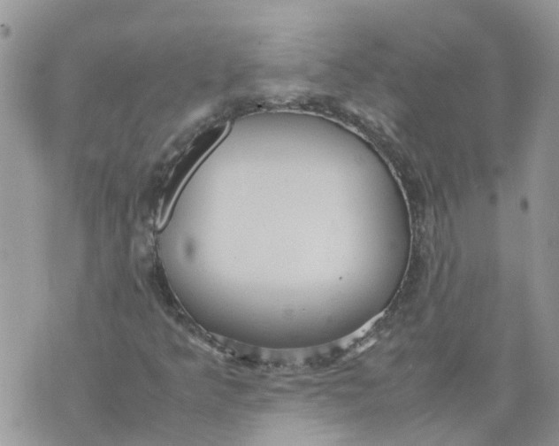 X0000070391349200606301936