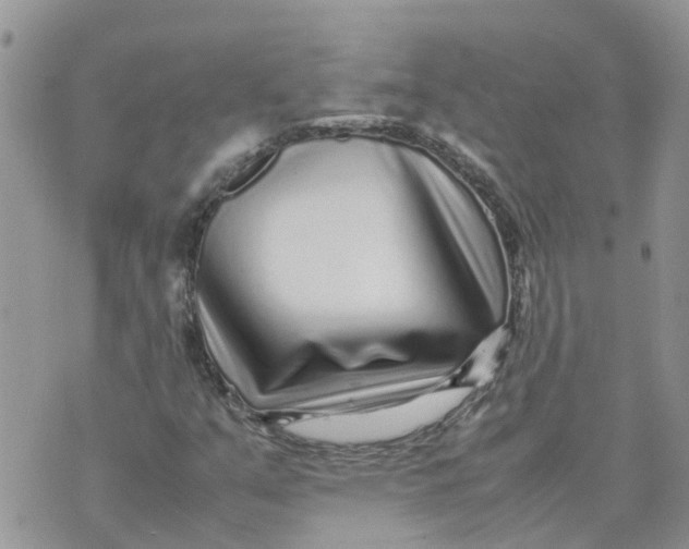 X0000070391351200606301936