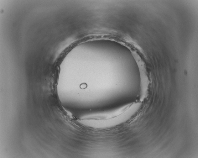 X0000070391352200606301936