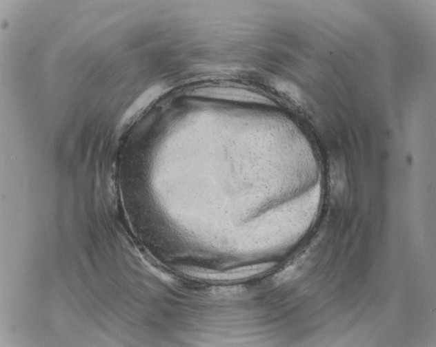 X0000070391354200606301936