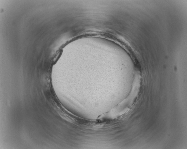 X0000070391355200606301936