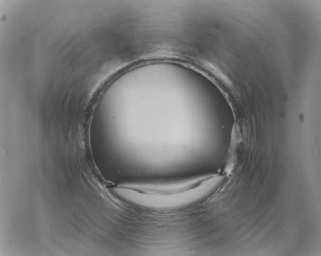 X0000070391356200606301936