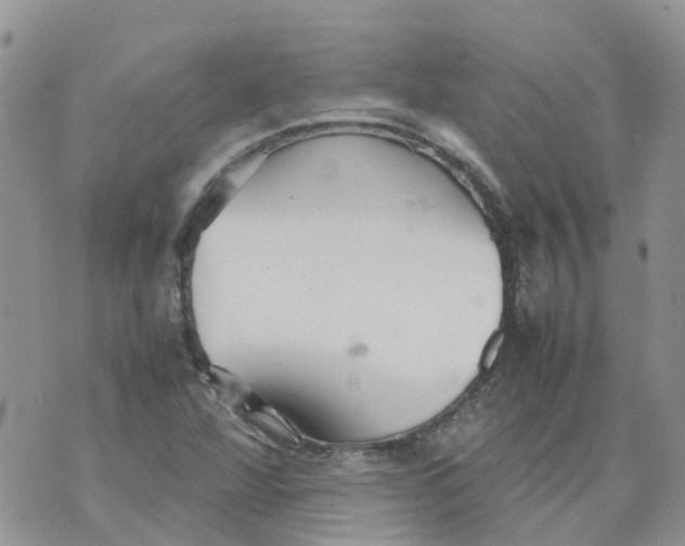 X0000070391360200606301936